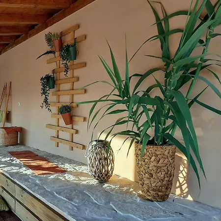 House Barba - Vrana פאקוסטאן