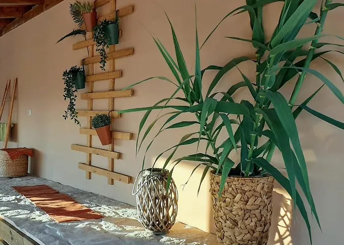 House Barba - Vrana 파코스탄