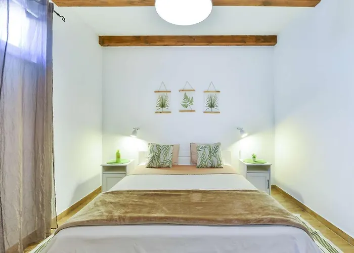 House Barba - Vrana * 파코스탄