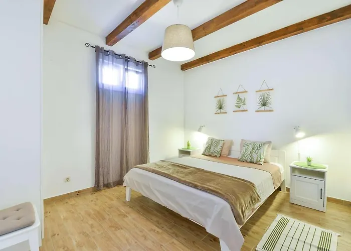 House Barba - Vrana *