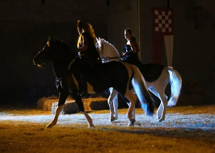 빌라 House Barba - Vrana 파코스탄