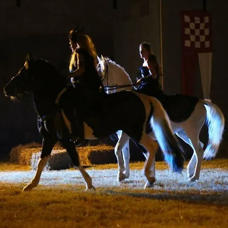 别墅 House Barba - Vrana Pakoštane