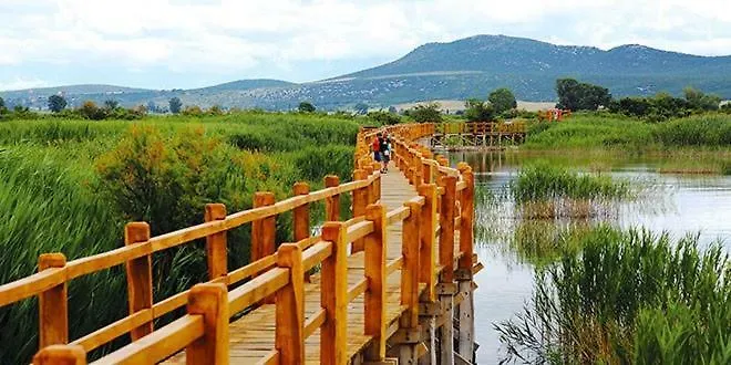 House Barba - Vrana Βίλα